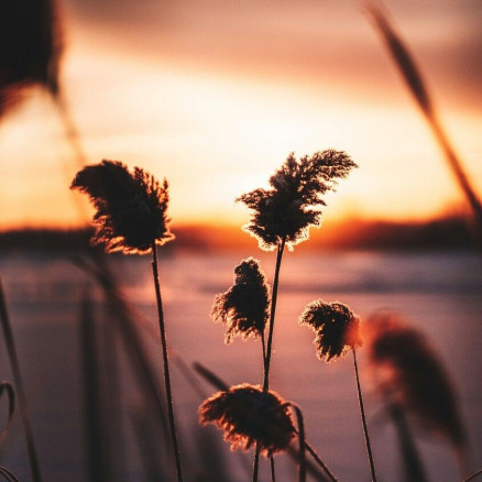 İNSANIZ NİHAYETİNDE