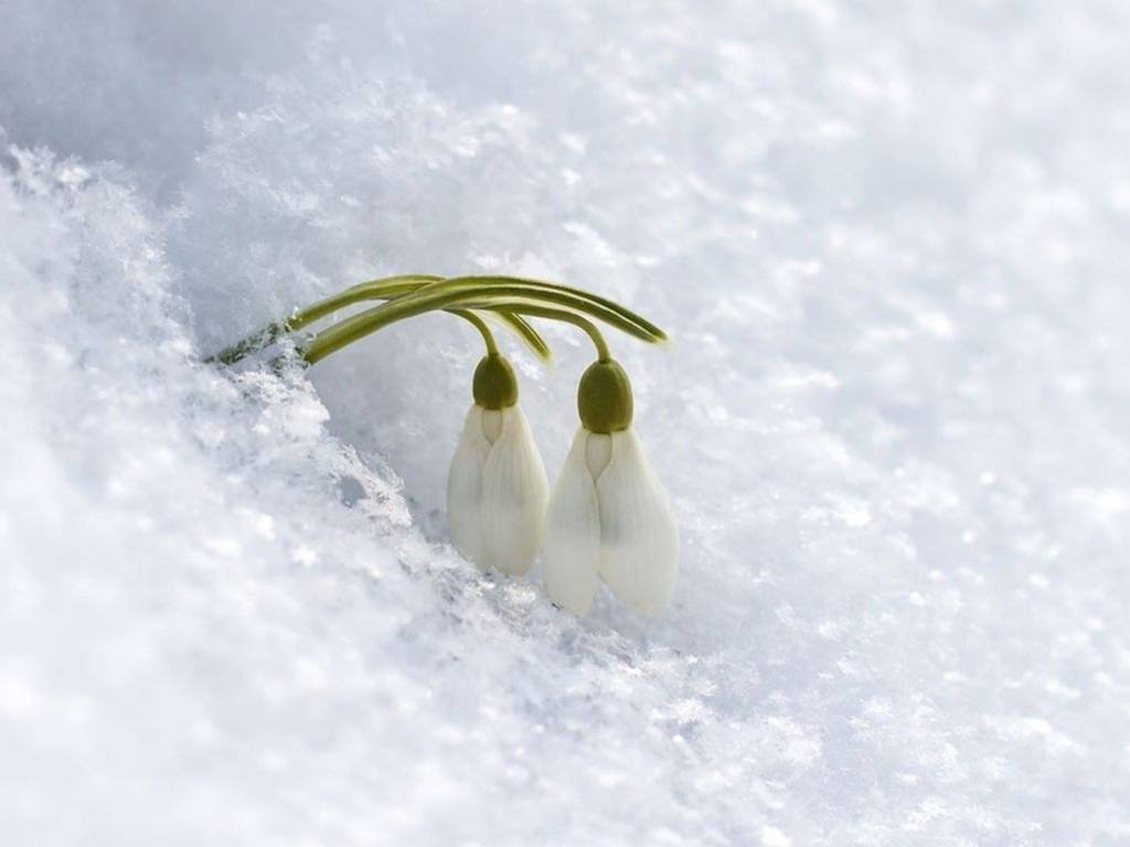 HİKMET’İ ANLAMAK DEMEK..