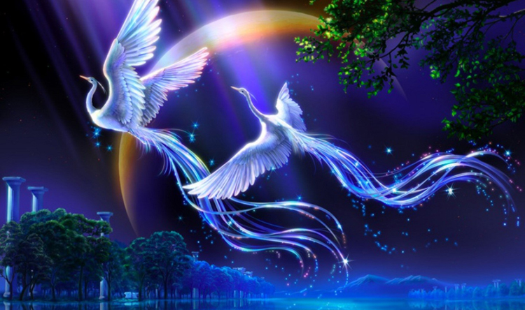 ÖZGÜRLÜĞÜN BESTESİ