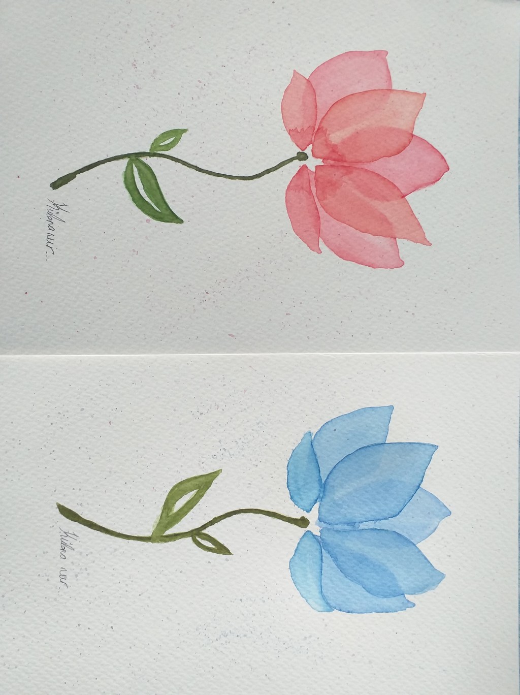 Çizer: Kübra Nur&nbsp;Demirci