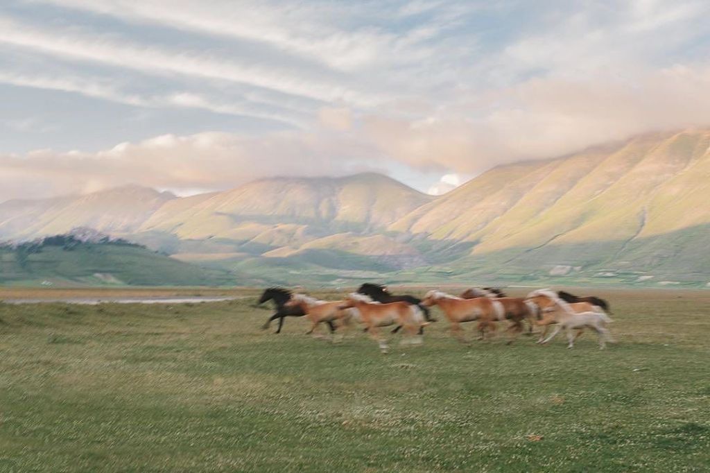 GÖZ NEREDE, YOL NEREDE, YORDAM&nbsp;NEDİR?