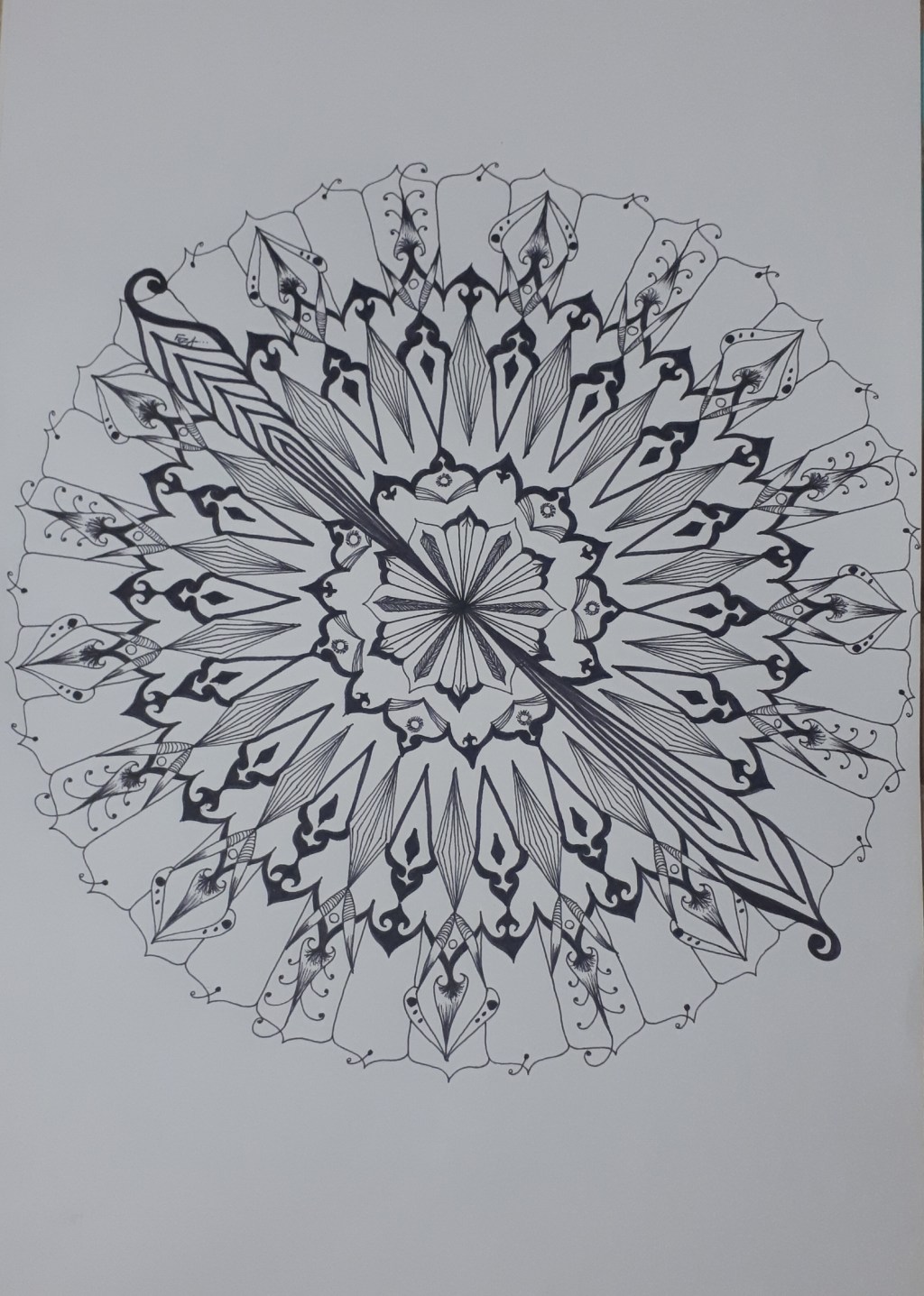 ÇİZER: Fatma Zehra&nbsp;Akyiğit