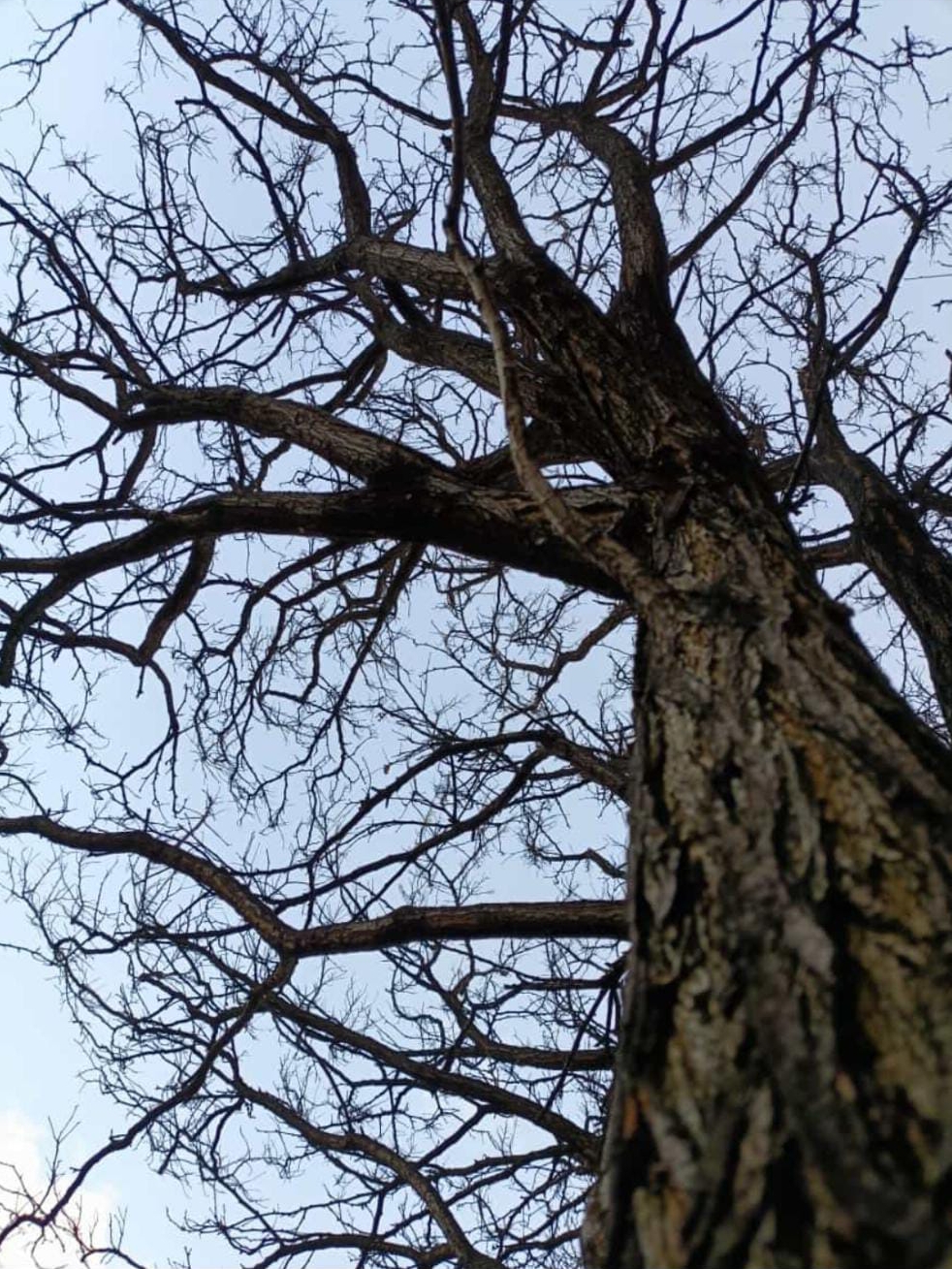 FOTOĞRAF: Filiz Yuşan