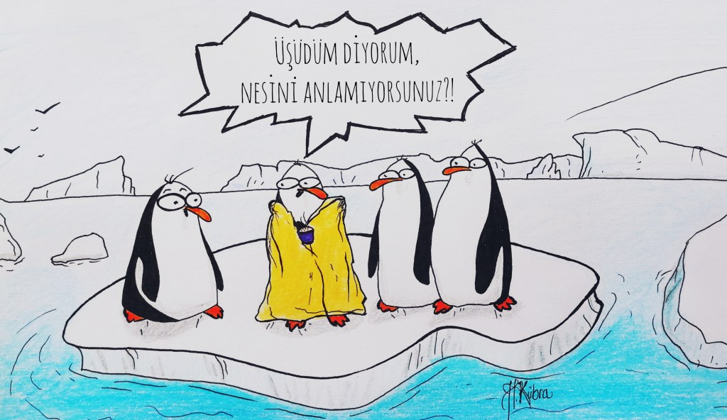 ÇİZER: HATİCE KÜBRA&nbsp;TAŞÇI