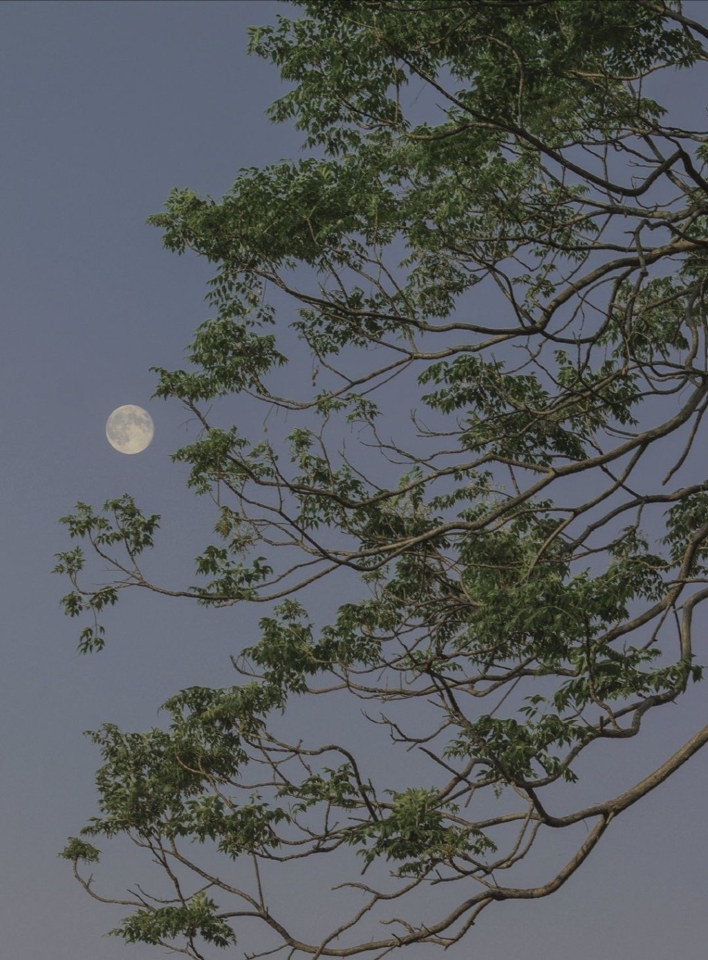 İÇİM KAYNAYAN BİR&nbsp;KAZAN