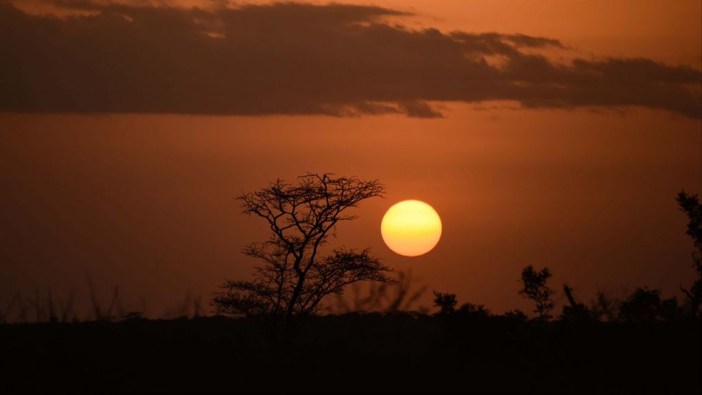 SANMA Kİ KÂM&nbsp;ALIRIM