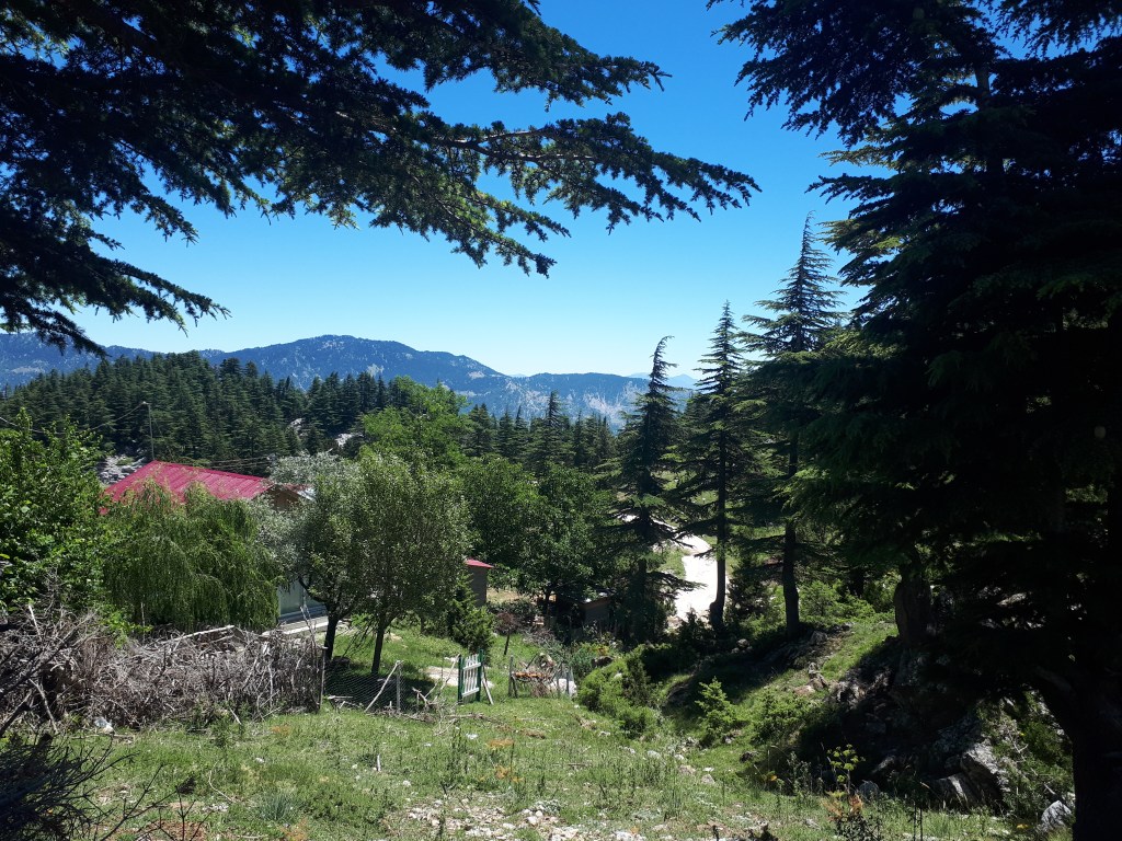 FOTOĞRAF: FATMA ZEHRA&nbsp;AKYİĞİT